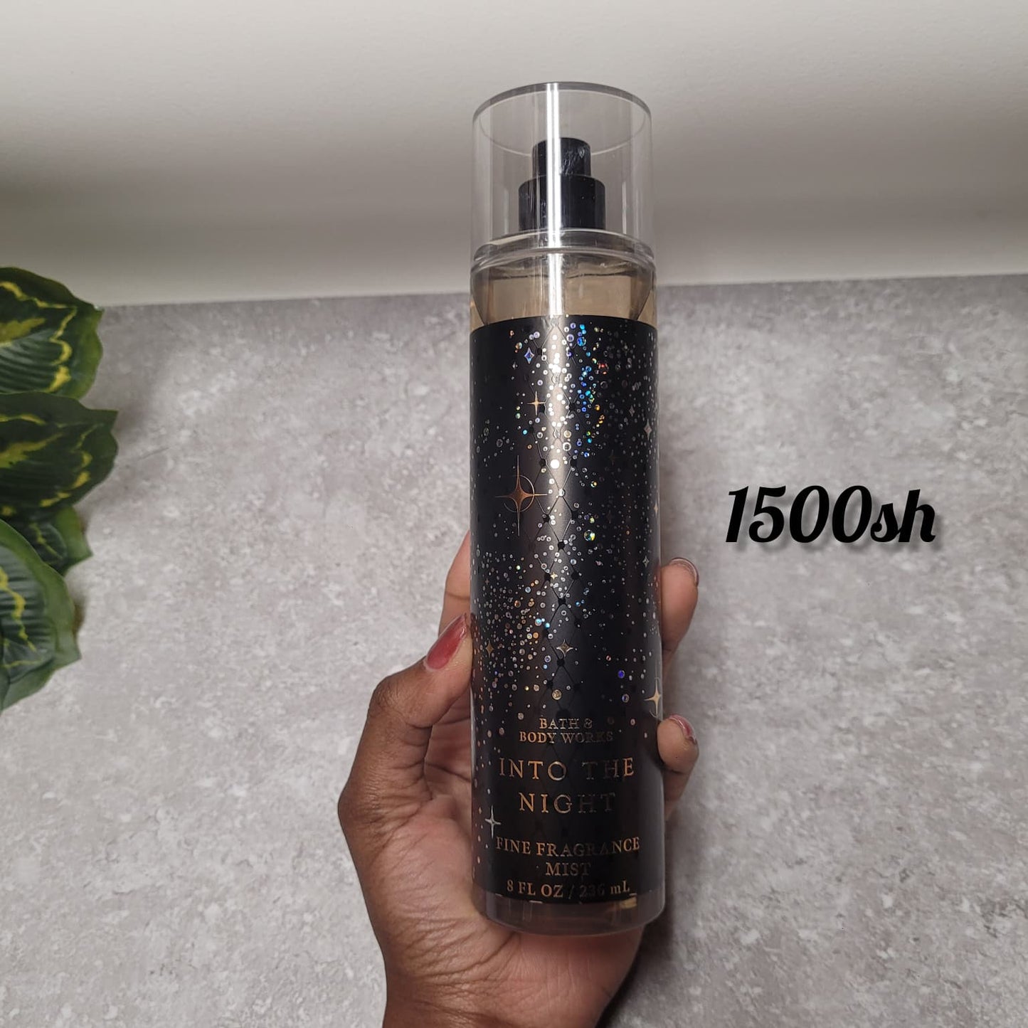 Bath & Body Works Into the Night Mist 236 ml