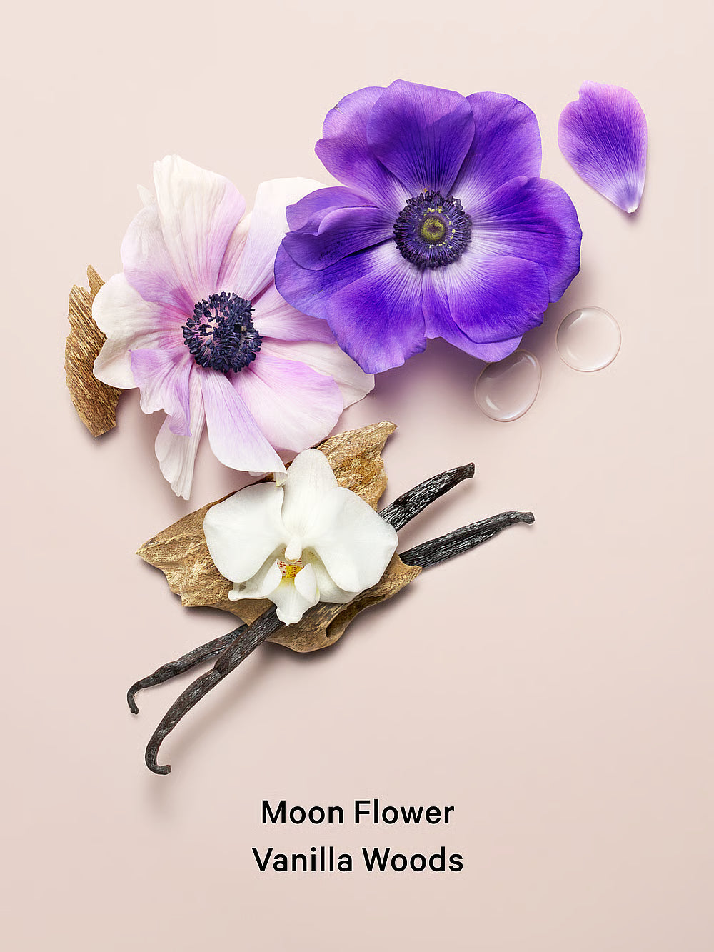 Victoria’s Secret Midnight Bloom Fragrance Mist 250ml