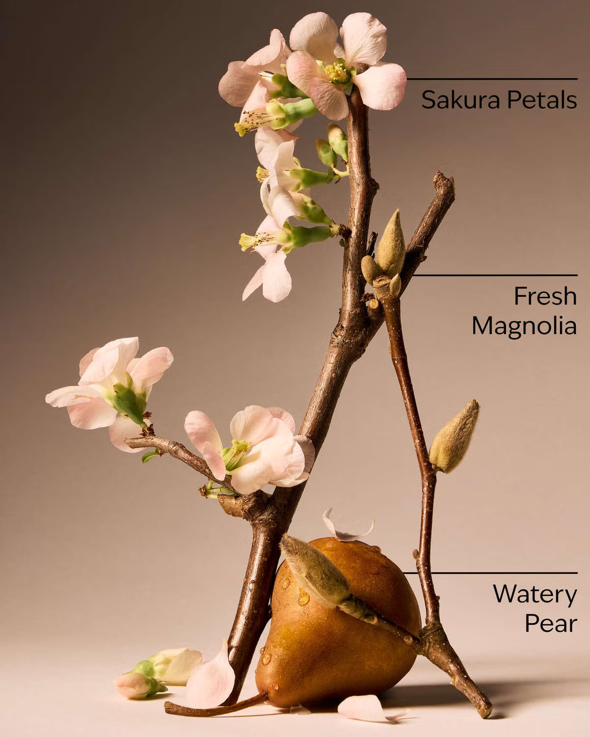 Bath & Body Works Forever Cherry Blossom Fine Fragrance Mist 236ml / 8 fl oz