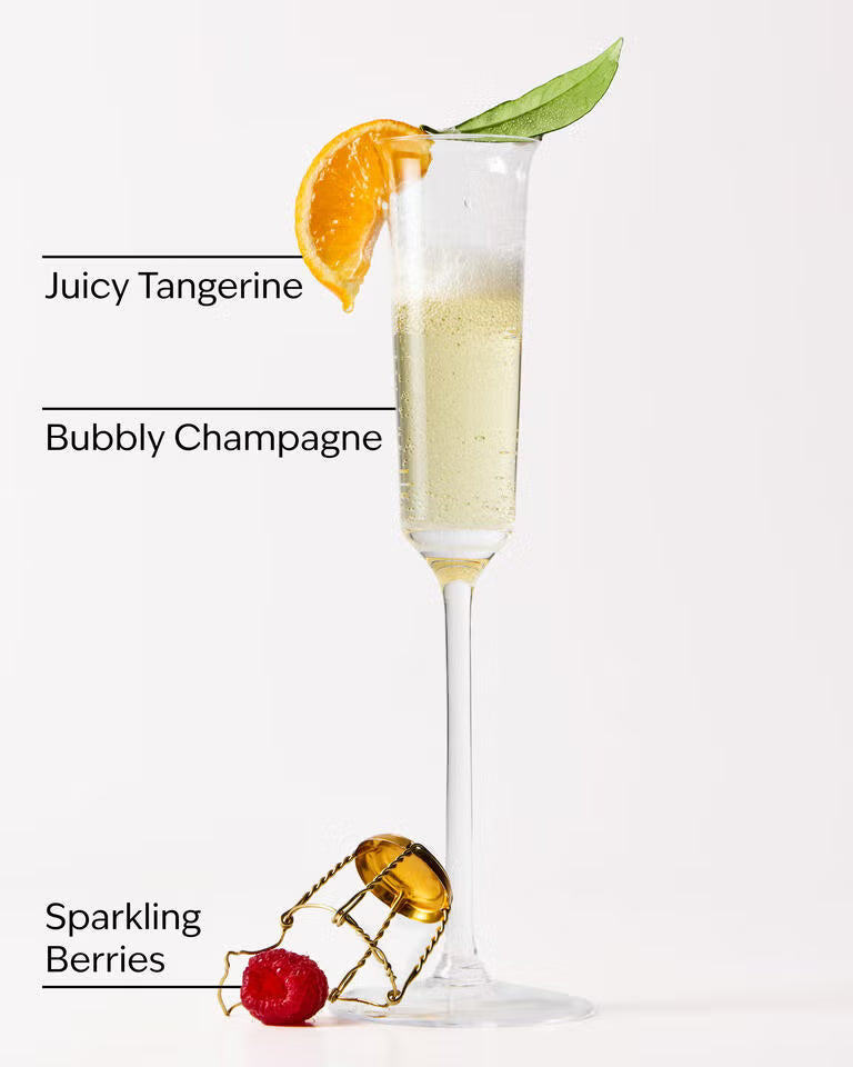 Bath & Body Works Champagne Toast PocketBac Hand Sanitizer 29ml / 1 fl oz